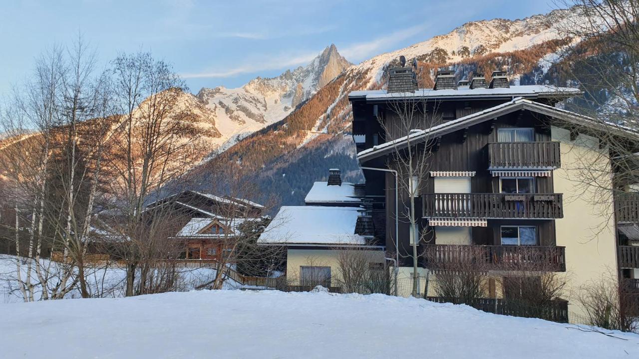 Cosy Studio On The Slopes And Centre Of Chamonix Mont Blanc Exterior foto